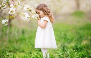 سلام بر دوستان خوبم صبح زیباتون بخیر 🙋🌺☘️🍰