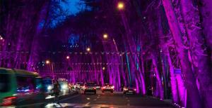 خیابون ولی عصر😍🍁🍂