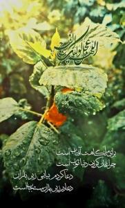 دیگر شده ام دچار وسواس”بیا” !
بد جور به 🍀عصر_جمعه حساس”بیا”