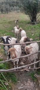 ۳روزشمالم‌خبری‌ازباران‌نیست