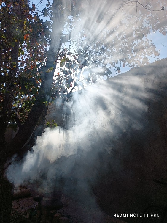 ترکیب دود و نور😍برگای باغچمون سوزوندم