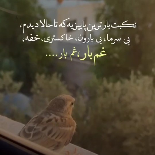 دقیقااا👌🏽👌🏽