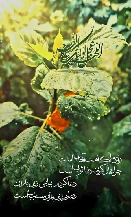 دیگر شده ام دچار وسواس”بیا” !
بد جور به 🍀عصر_جمعه حساس”بیا”