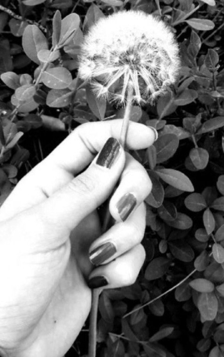 قدر آدم زندگیتو بدون♥