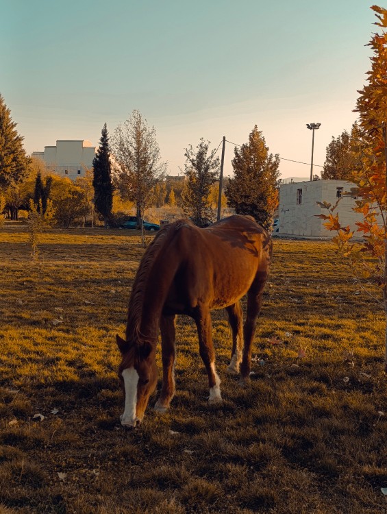 •دیروز رو فراموش کن، برای امروز زندگی کن🧡•