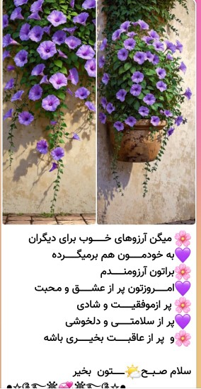 ✋️سلام دوستان گلم صبحتون بخیر🌺هفته خوبی برایتون آرزو مندم ✋