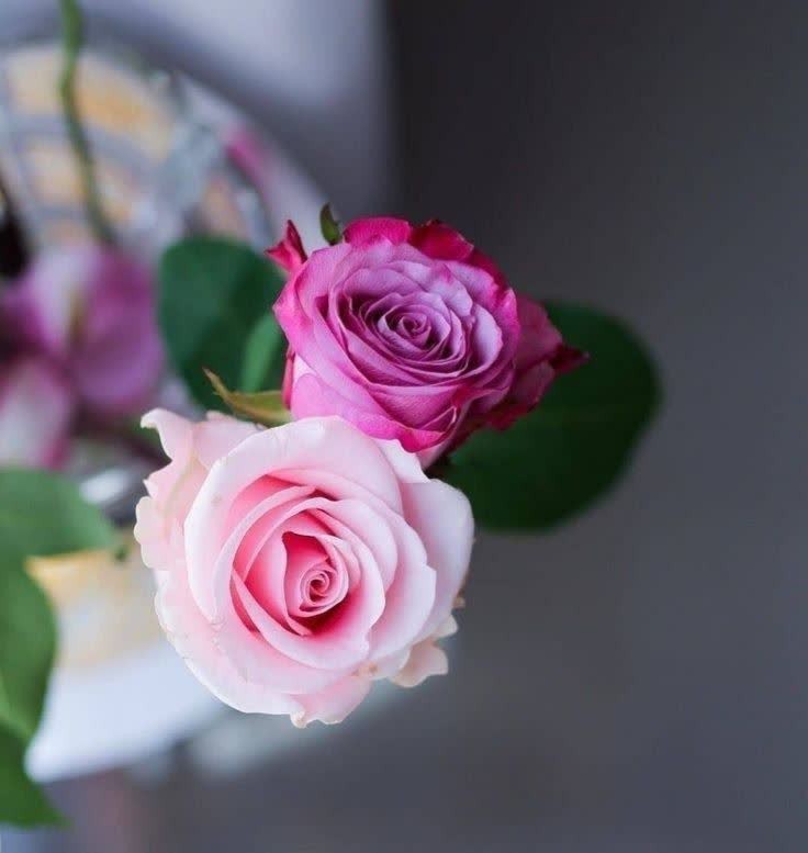 وقتی شکایت می کنید و غر می زنید،