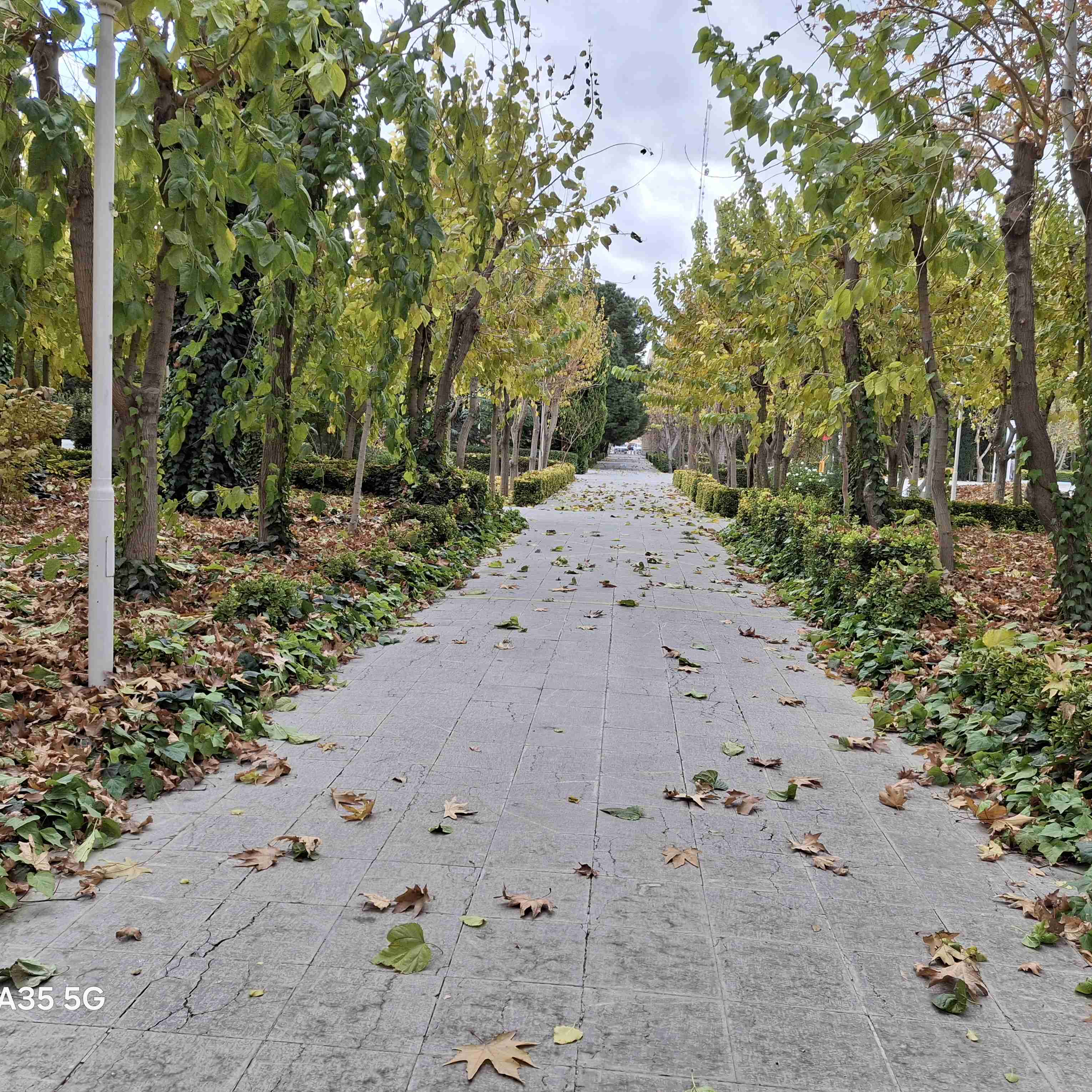 زمانی  اصفهان پاییز ۱۴۰۴