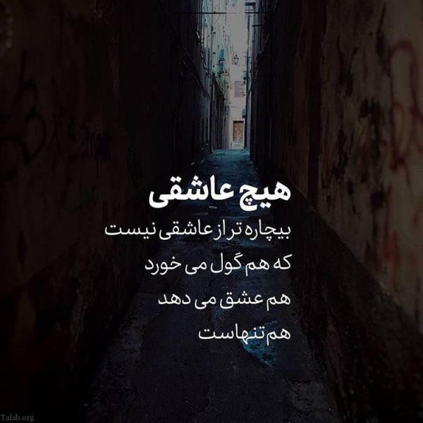 ،،🍁🍂🍂🍂