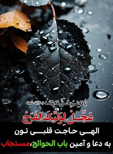 إلهی بحق فاطمه زهرا 🪴