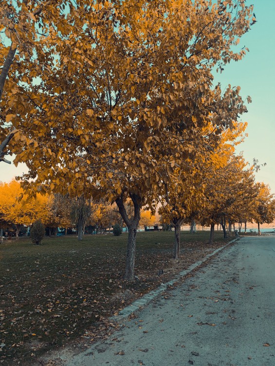 جیمین میگه:
"تو با ارزشتر از اون چیزی هستی که فکر میکنی!