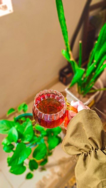 سلام عصرتون بخیر🌹