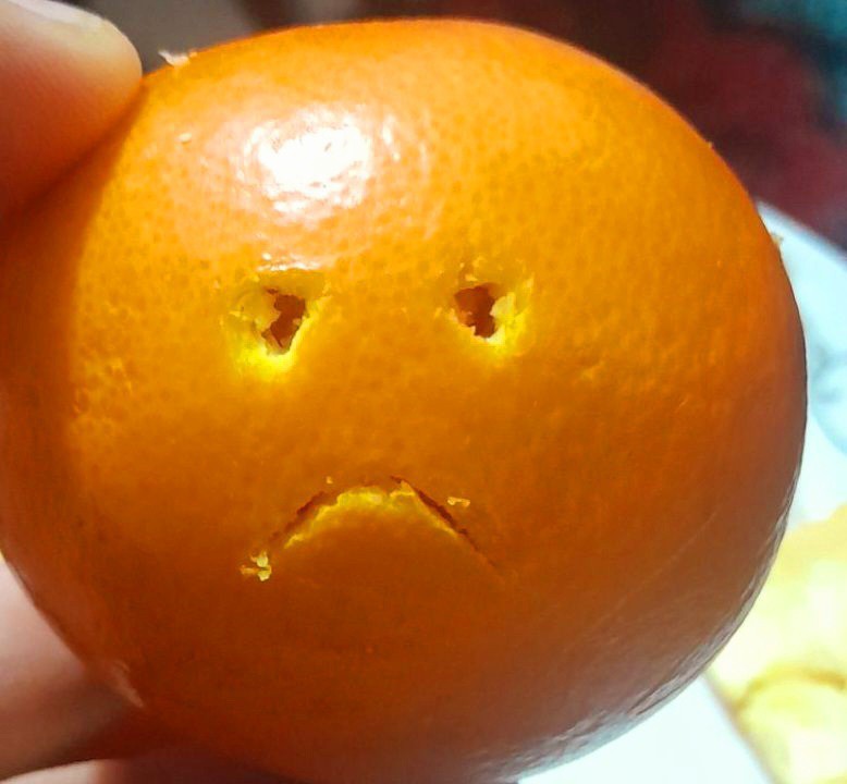 وقتی حوصلم سرایره🥴