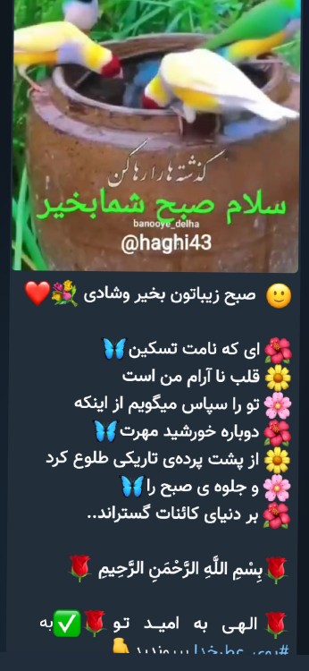 سلام  صبح  بخیر به تک تک دوستان  روزتان پربرکت🌷🌷
