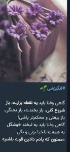 🌷❤️🌷❤️🌷