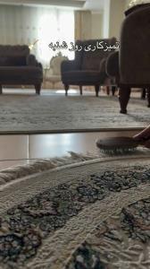 ریشه فرشامو برس بکشم😃