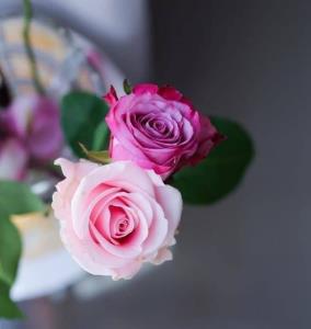 وقتی شکایت می کنید و غر می زنید،