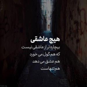 ،،🍁🍂🍂🍂