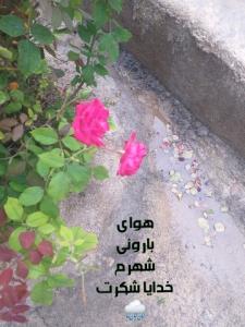 سلام صب بارونیتون بخیر🌧🙋🏻‍♀️