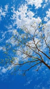 اونجا که حسین منزوی میگه: