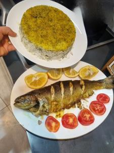 شوید پلو با ماهی شکم پر🦈