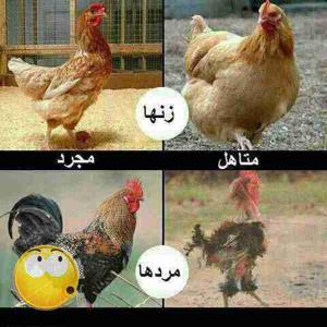 🙆🏻😂🙆🏻😂