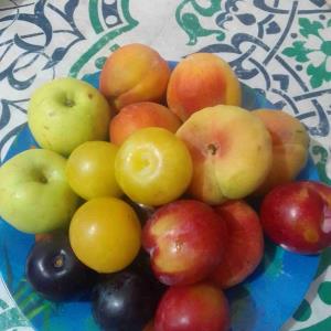 🍊🍊🍋🍋🍌🍌🍎🍎🍒🍒☺☺