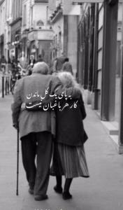 به پای یک گل ماندن کار هر باغبان نیست .