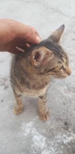 انرژی و عشق مُ سرکار 💖