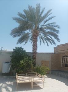 جنوب و گرماش و نخلاش... 