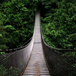 دوست‌داری‌آخراین‌پل‌چه‌کسی‌رو‌ببینی؟