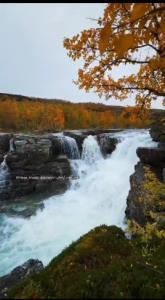 دوست عزیزم ...