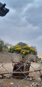 درانتظار باران🌧⛈️