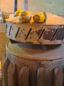 هوای بارانی و بخاری و سیب زمینی🌧