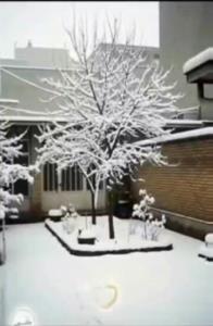 وتو ارحم الراحمین منی...