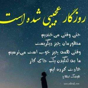 روز کار عجیبی شده است...