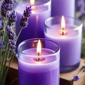 🌍🌍🌍🌍❤❤❤❤