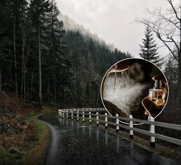 بوی خاک بعد از بارون یه راز علمی داره ،