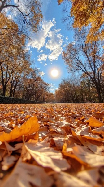 سلام عصرتون بخیر🍁🍂🍁🍂