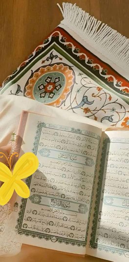 به هر کجا که می خواهی