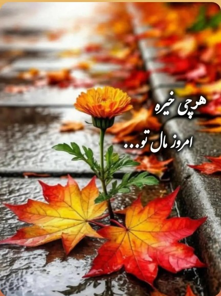 حال دلتون خوش... 🤞🕊🍁