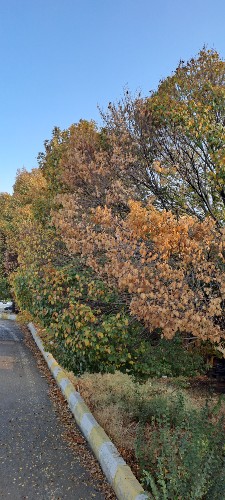 کرمانشاه بعد از بارش رحمت الهی