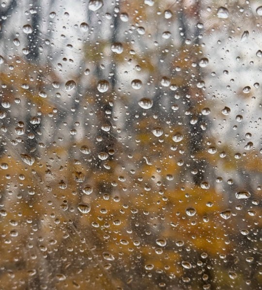 یا مرا با خود ببر آنجا که هستی، یا بیا