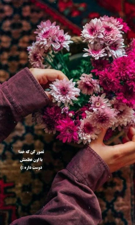 خدایا شکرت ❤️