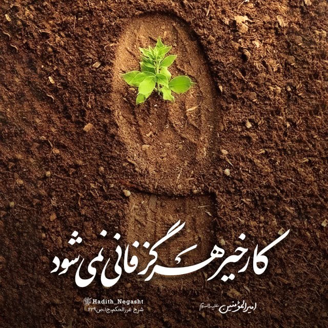 🍀امیرالمؤمنین علیه السلام :