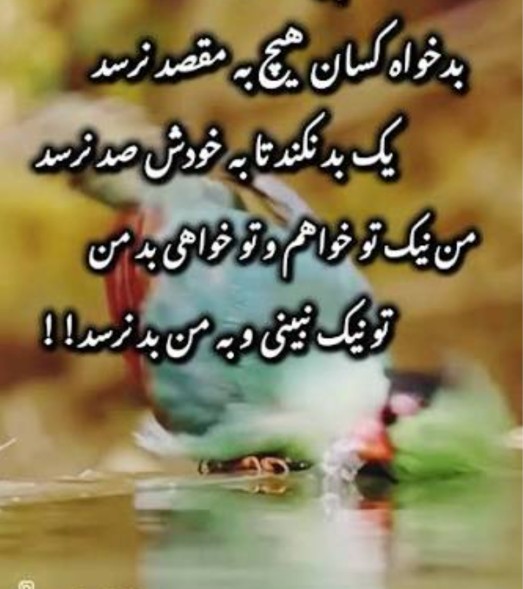 بدخواه کسان هیچ به مقصد نرسد،یک بد نکند تا به خودش، صد نرسد