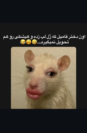 شمام دارین ازشون؟💋