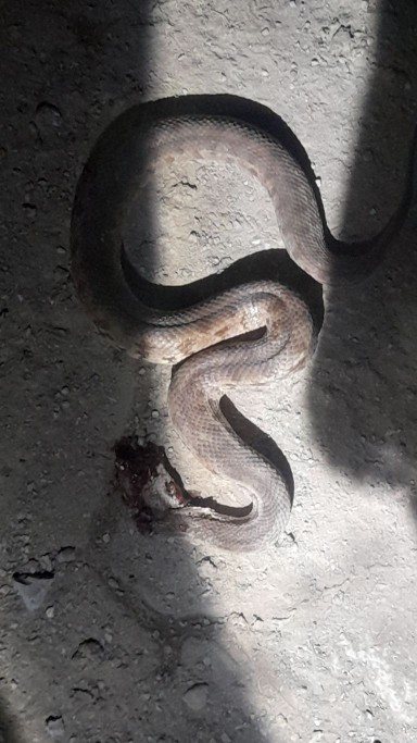 چقدرازاینا پرورش دادم تو آستینم 😂🤣😓،.... 