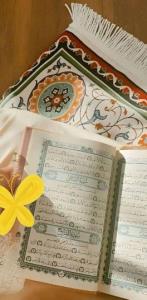 به هر کجا که می خواهی