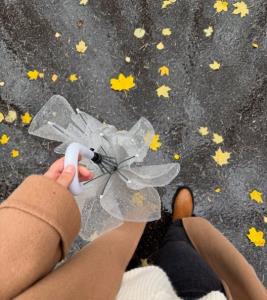 شهر خاموش من... آن روح بهارانت کو...؟؟